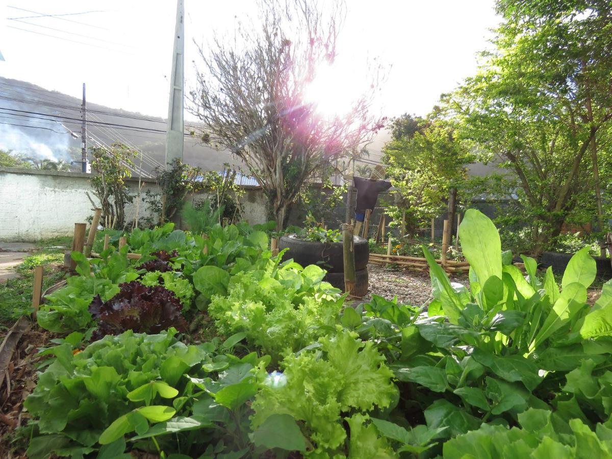 Florianópolis Hostel Vagamundo מראה חיצוני תמונה