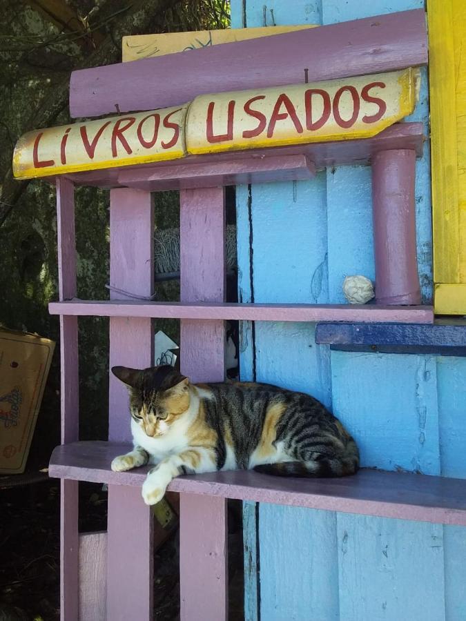 Florianópolis Hostel Vagamundo מראה חיצוני תמונה